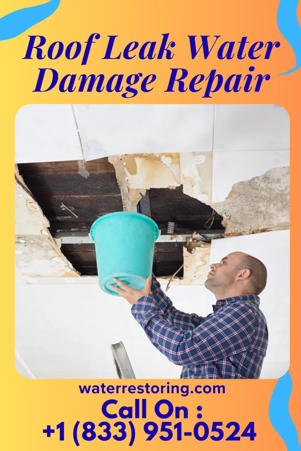 Roof Leak Water Damage Repair in Port Orchard, WA